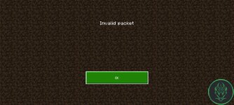 Screenshot_2025-01-18-12-41-41-030_com.mojang.minecraftpe.jpg