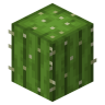 CactusAD V2